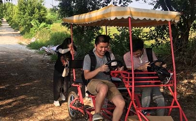 今夏，陽光明媚，遠離喧囂城市——基準設計（佛山）月度活動